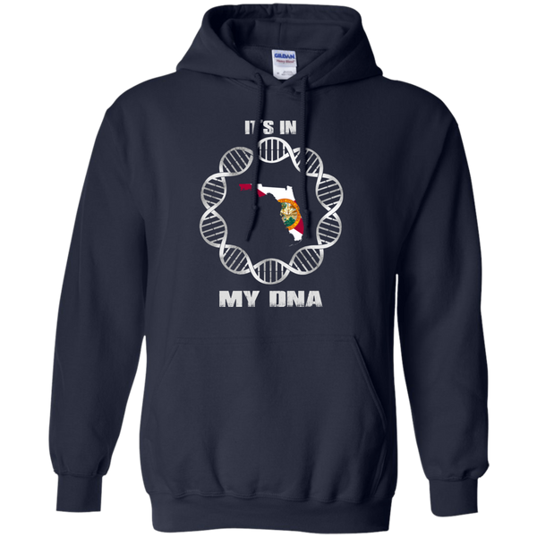Florida State T shirts It's In My DNA Hoodies Sweatshirts