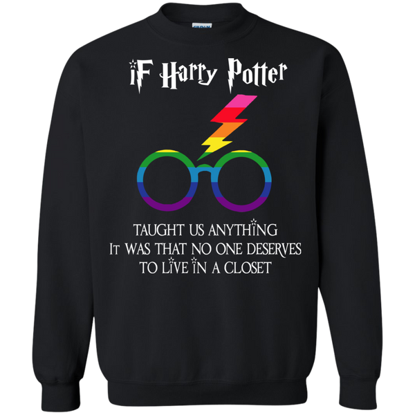 Harry Potter T shirts If Harry Potter Taught Us Anything It Was Hoodies Sweatshirts