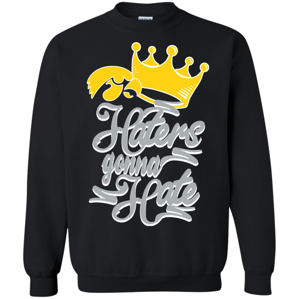 Iowa Hawkeyes T shirts Haters Gonna Hate Hoodies Sweatshirts