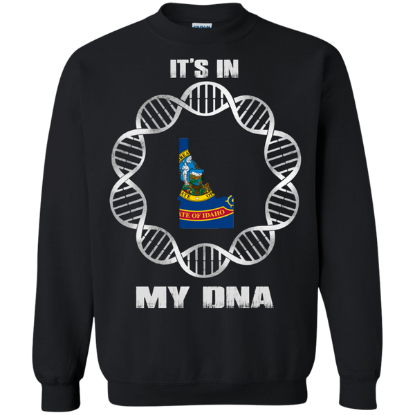 Idaho State T shirts It's In My DNA Hoodies Sweatshirts