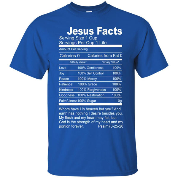 Christian Jesus T shirts Jesus Facts Hoodies Sweatshirts