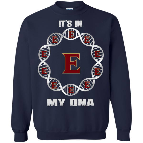Elon Phoenix T shirts It's In My DNA Hoodies Sweatshirts