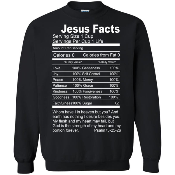 Christian Jesus T shirts Jesus Facts Hoodies Sweatshirts