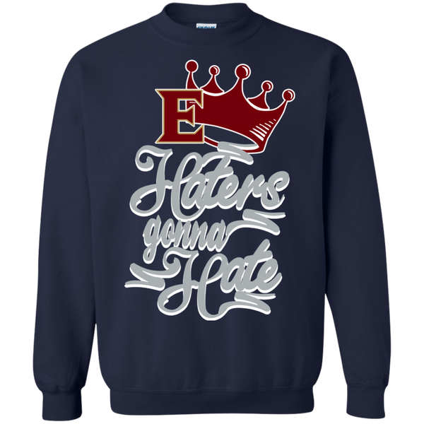 Elon Phoenix T shirts Haters Gonna Hate Hoodies Sweatshirts