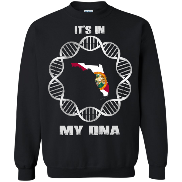 Florida State T shirts It's In My DNA Hoodies Sweatshirts