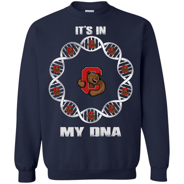Cornell Big Red T shirts It's In My DNA Hoodies Sweatshirts