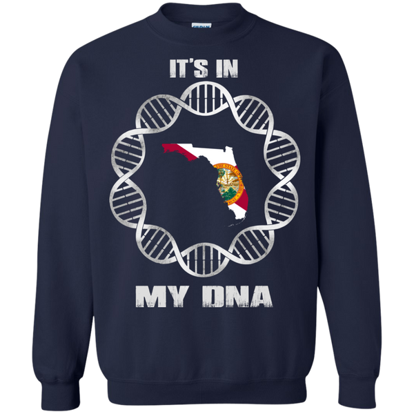 Florida State T shirts It's In My DNA Hoodies Sweatshirts