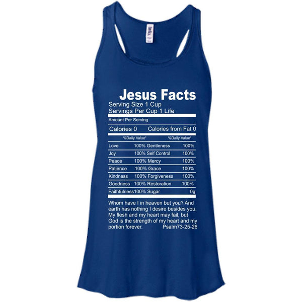 Christian Jesus T shirts Jesus Facts Hoodies Sweatshirts