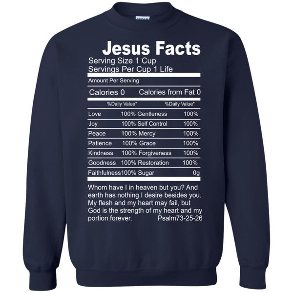 Christian Jesus T shirts Jesus Facts Hoodies Sweatshirts
