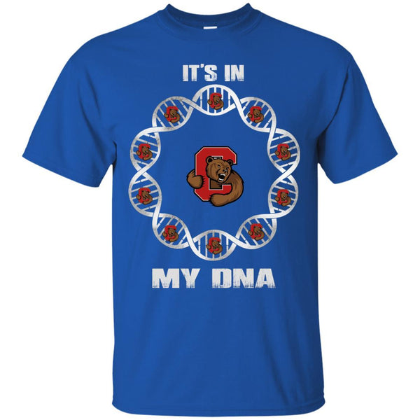 Cornell Big Red T shirts It's In My DNA Hoodies Sweatshirts